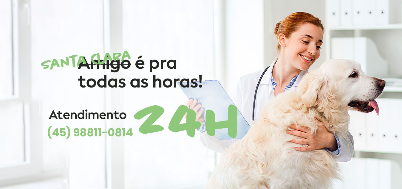 24h – 2
