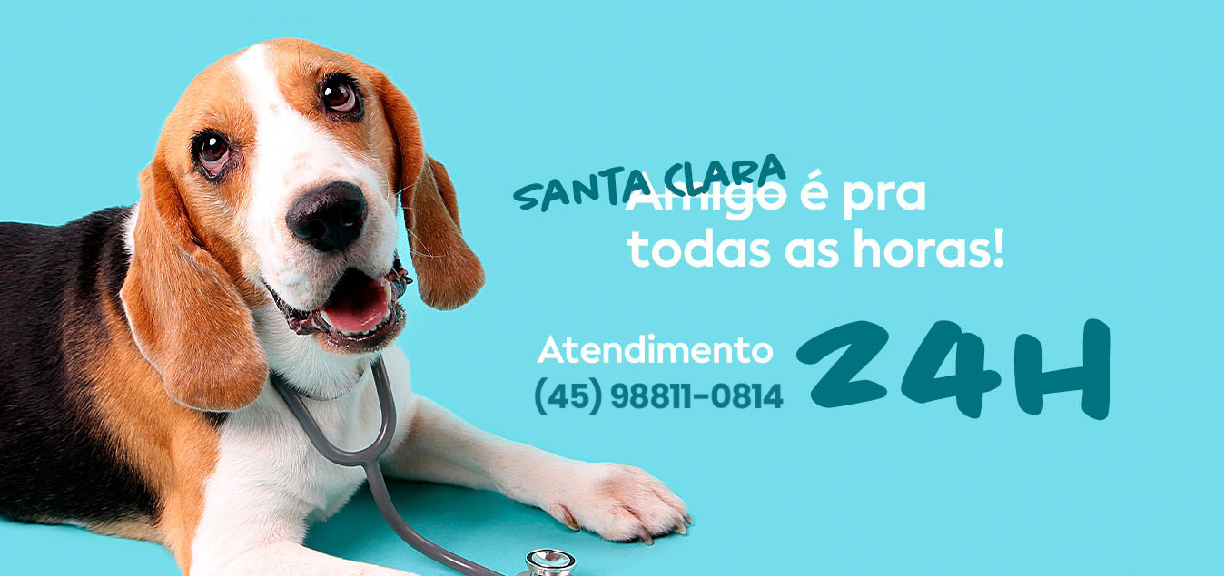 24h – 1